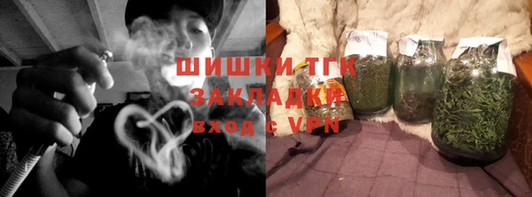индика Балахна