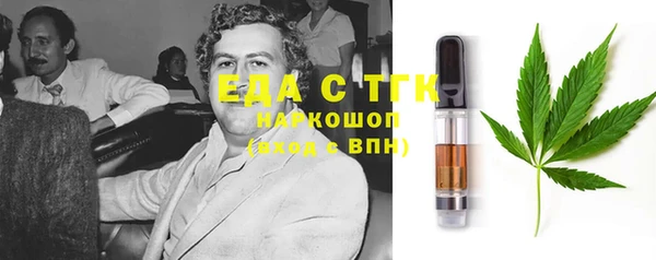 индика Балахна