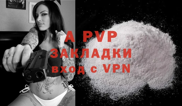 индика Балахна