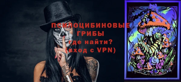 гидра Арсеньев